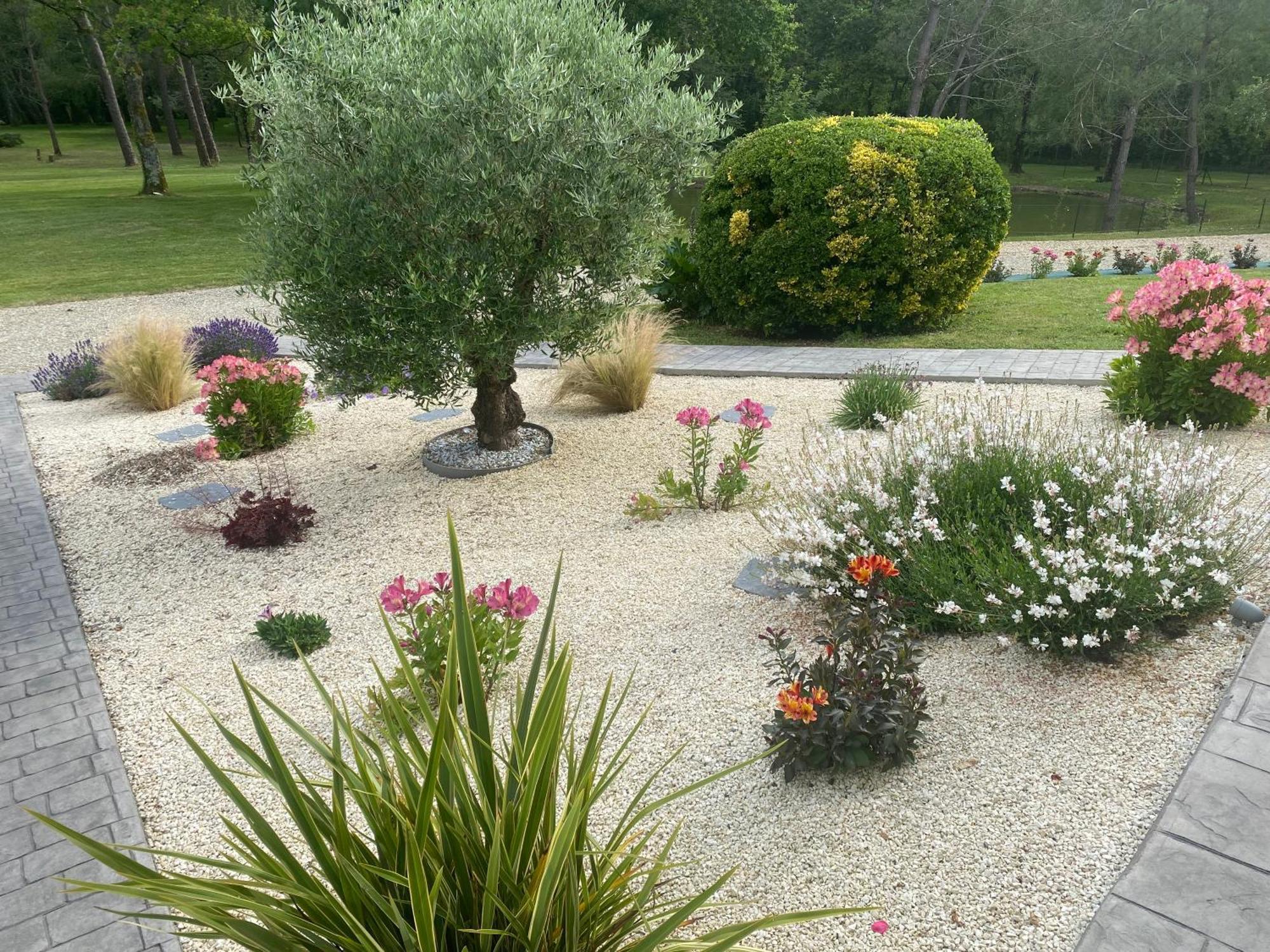 Les Pins Perdus Bed & Breakfast Saint-Ciers-d'Abzac Exterior photo