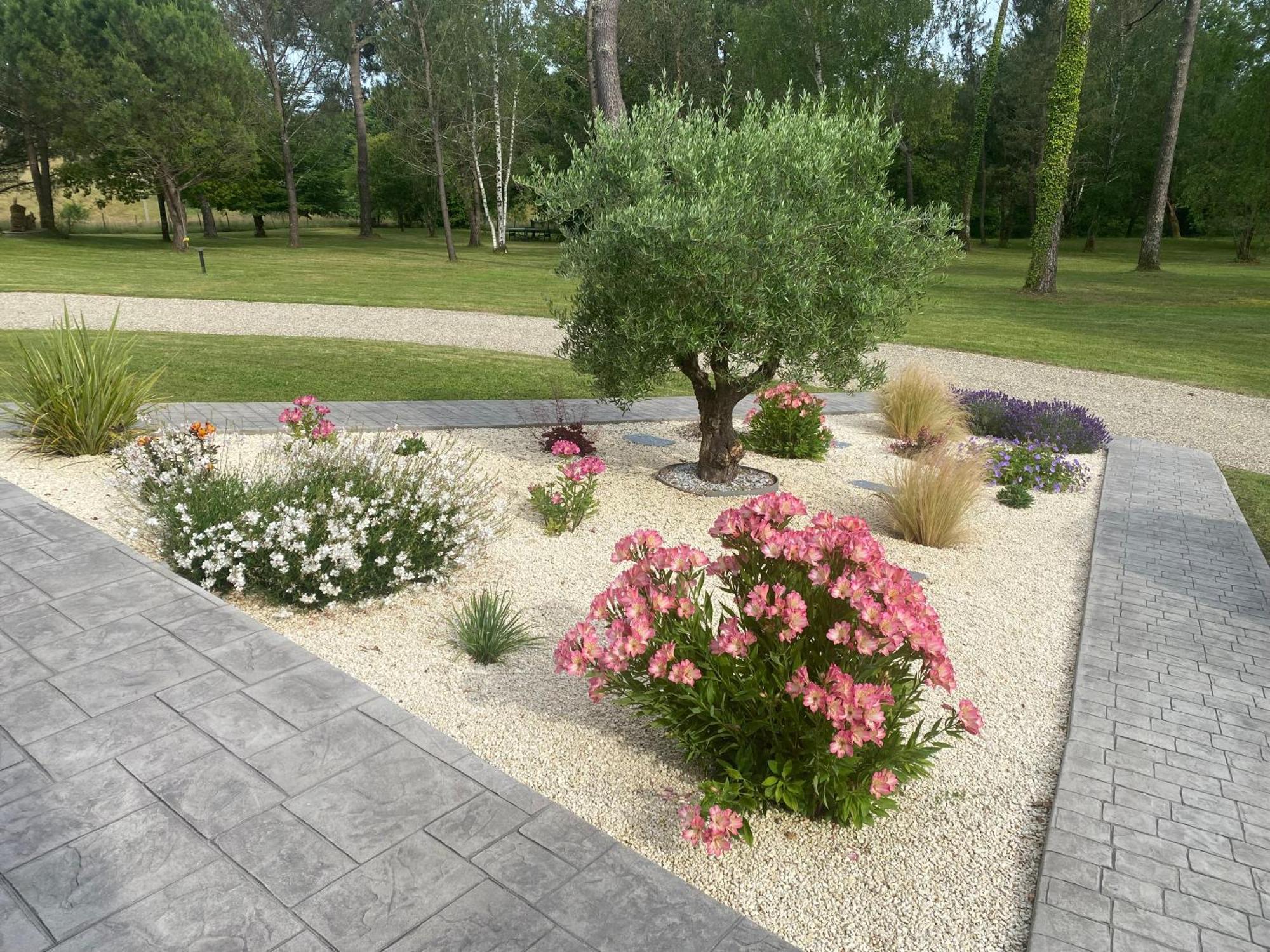 Les Pins Perdus Bed & Breakfast Saint-Ciers-d'Abzac Exterior photo