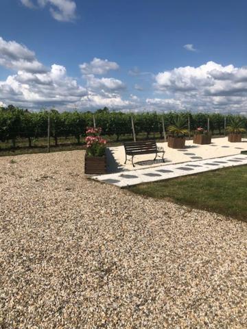 Les Pins Perdus Bed & Breakfast Saint-Ciers-d'Abzac Exterior photo